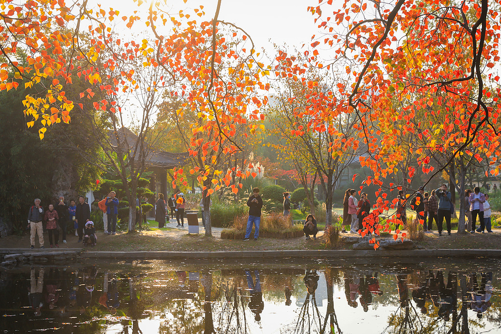 江苏南京：莫愁湖公园色彩斑斓景色如画