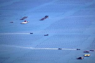 福州：渔民水面乘船管护鲍鱼养殖基地