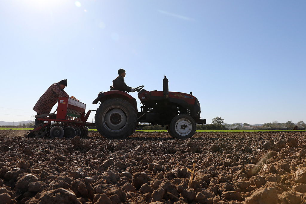 河南焦作：农民驾驶播种机播种小麦