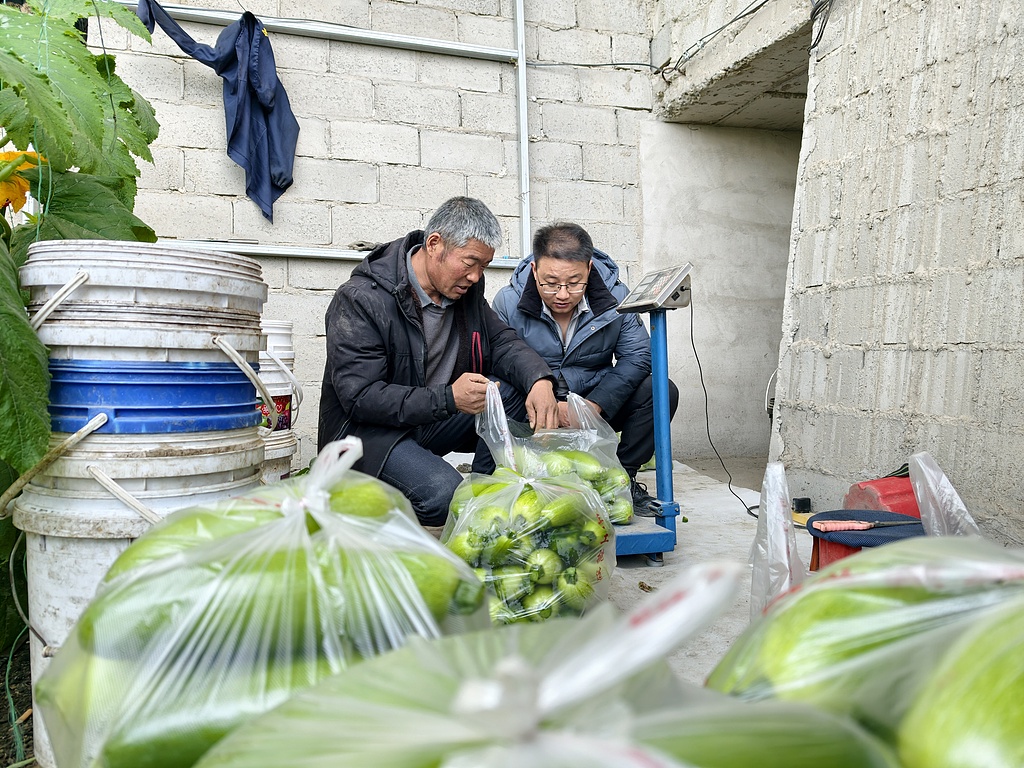 甘肃酒泉：技术服务送上门 冬季温室暖意浓