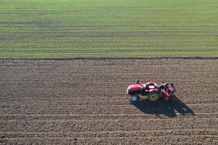 河南焦作：农民驾驶播种机播种小麦