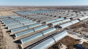 甘肃酒泉：技术服务送上门 冬季温室暖意浓