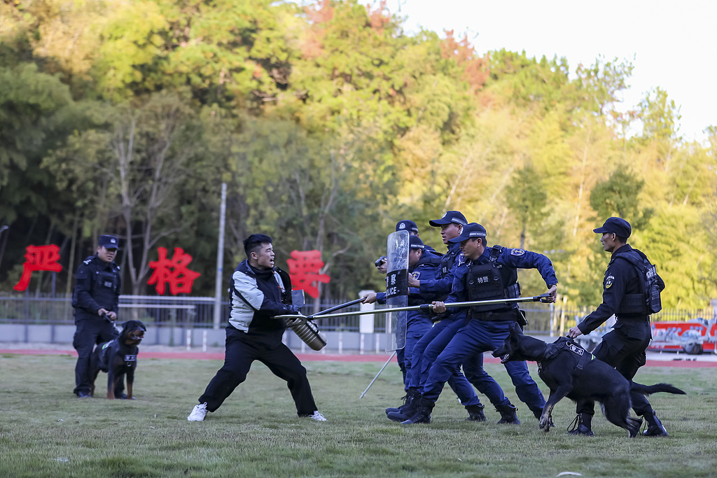 福建南平：冬日警犬训练忙