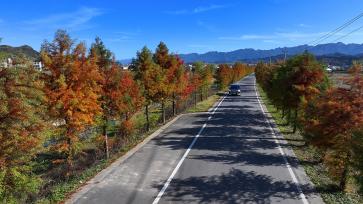 湖北十堰：高速公路穿过全村腹地