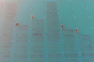 山东日照：渔民进行紫菜养护作业