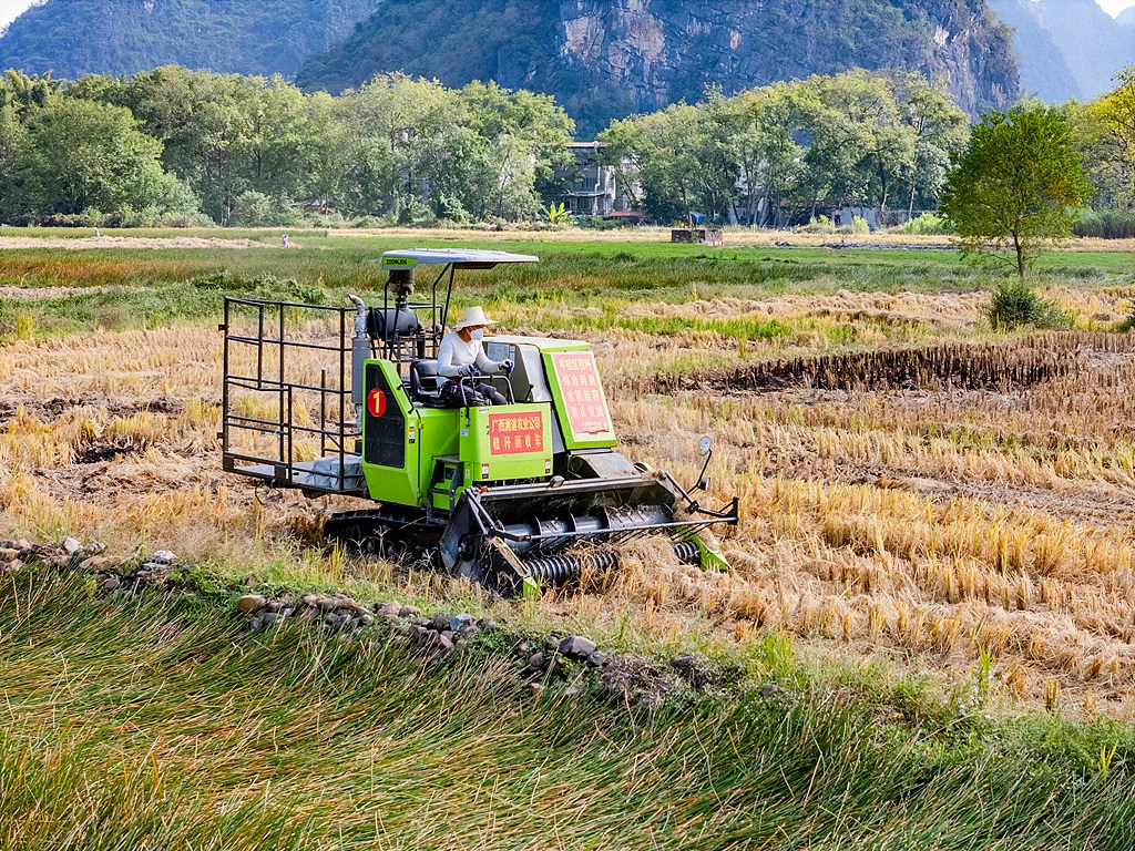 广西贺州：秸秆回收“变废为宝”