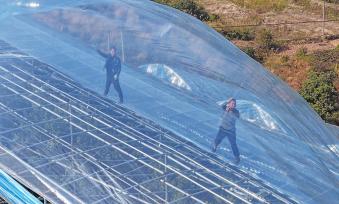 浙江台州：农民为大棚覆盖薄膜