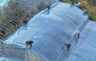 浙江台州：农民为大棚覆盖薄膜