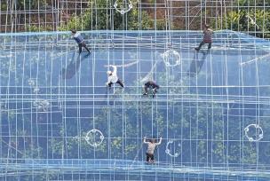 浙江台州：农民为大棚覆盖薄膜