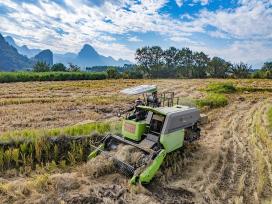 广西贺州：秸秆回收“变废为宝”