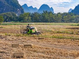 广西贺州：秸秆回收“变废为宝”