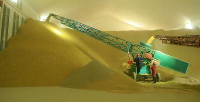 浙江温岭：稻谷沿着传送带进入仓库