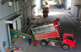 浙江温岭：稻谷沿着传送带进入仓库