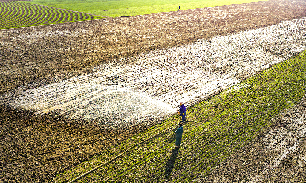 河南漯河：村民对麦田进行灌溉