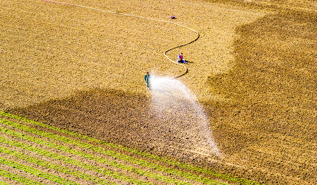 河南漯河：村民对麦田进行灌溉