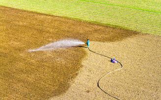 河南漯河：村民对麦田进行灌溉