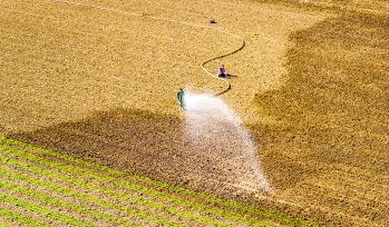 河南漯河：村民对麦田进行灌溉