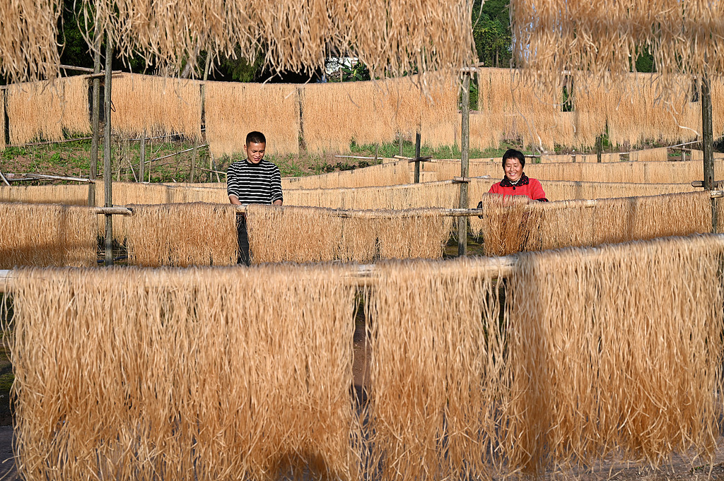 四川内江：冬晒粉条助增收