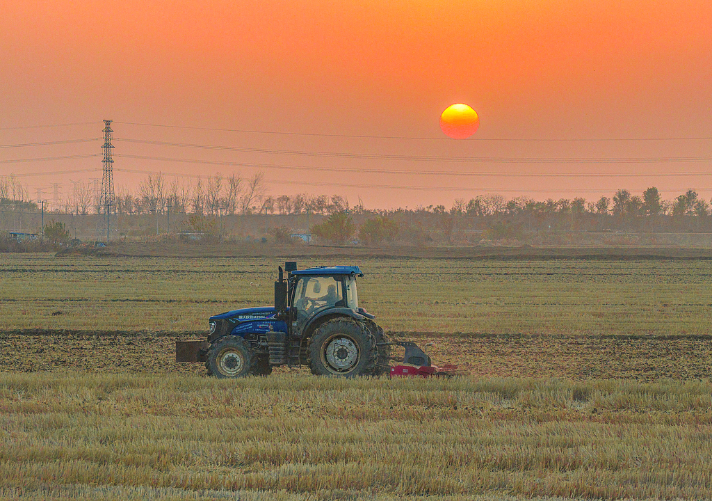 江苏宿迁：播种机来回穿梭抢播冬小麦