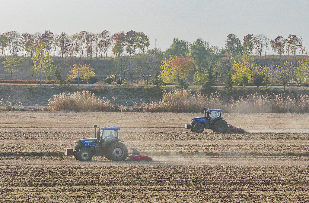 江苏宿迁：播种机来回穿梭抢播冬小麦