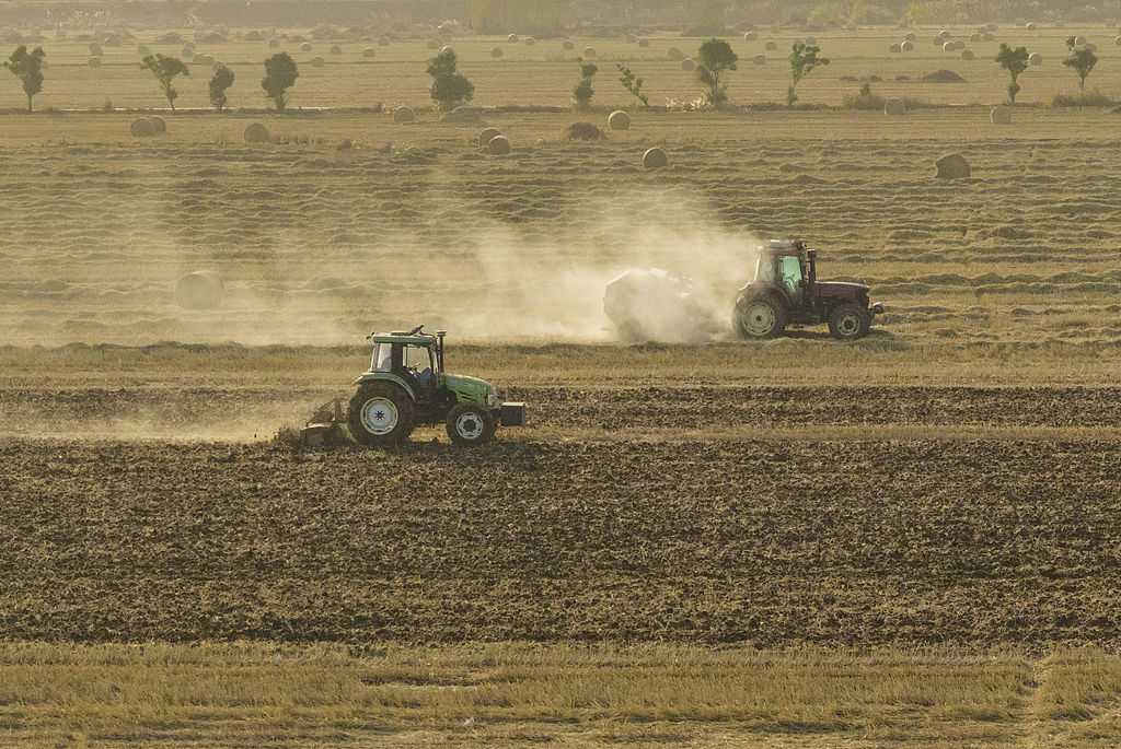 江苏宿迁：播种机来回穿梭抢播冬小麦