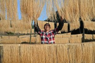 四川内江：冬晒粉条助增收