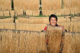 四川内江：冬晒粉条助增收