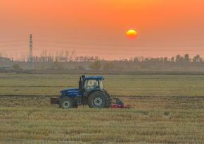 江苏宿迁：播种机来回穿梭抢播冬小麦