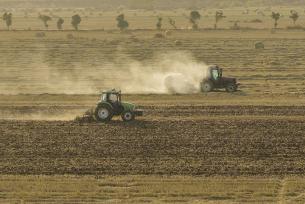 江苏宿迁：播种机来回穿梭抢播冬小麦