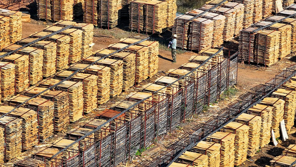 江西吉安：工作人员晾晒板材半成品