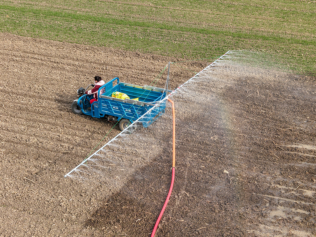 安徽亳州：农民对小麦进行补水补墒