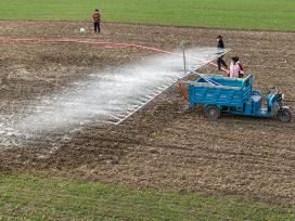 安徽亳州：农民对小麦进行补水补墒