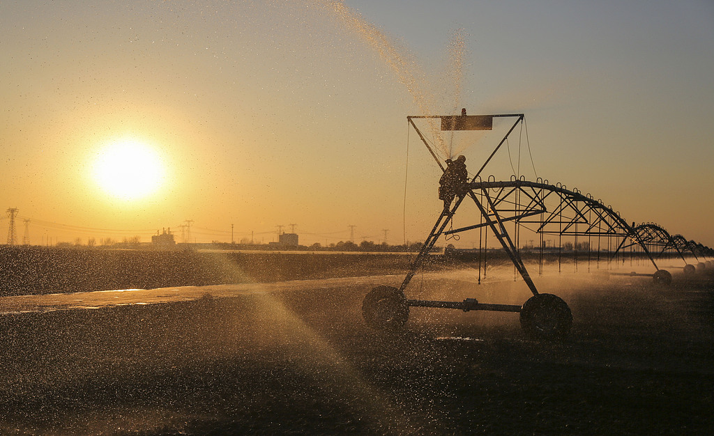 山东东营：农民驾驶喷灌机浇灌冬小麦