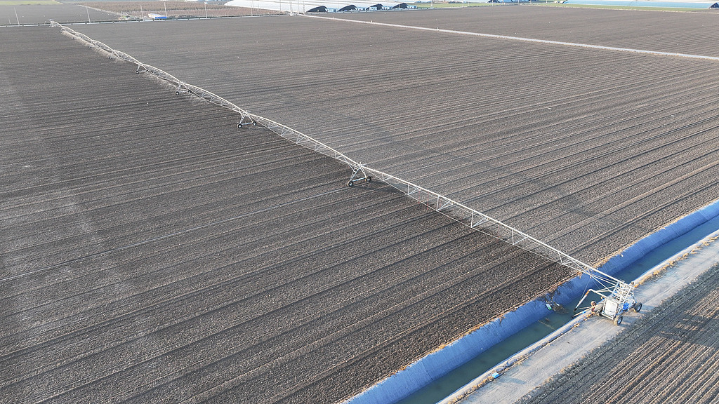 山东东营：农民驾驶喷灌机浇灌冬小麦