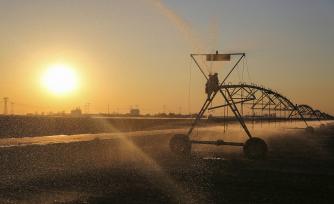 山东东营：农民驾驶喷灌机浇灌冬小麦
