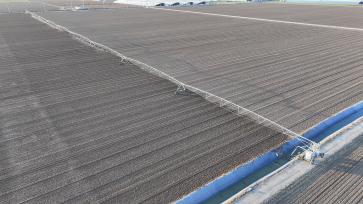 山东东营：农民驾驶喷灌机浇灌冬小麦