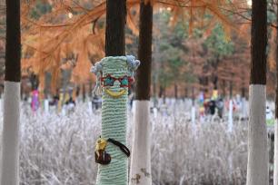 安徽合肥：树木“穿上”卡通毛衣