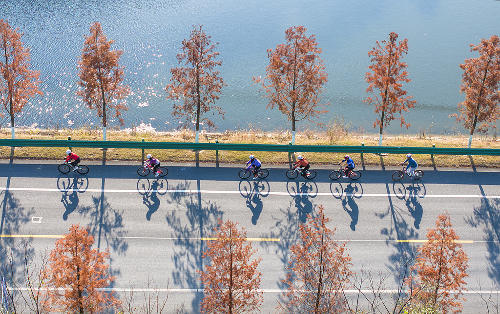 安徽芜湖：绿色低碳骑行 乐享健康生活