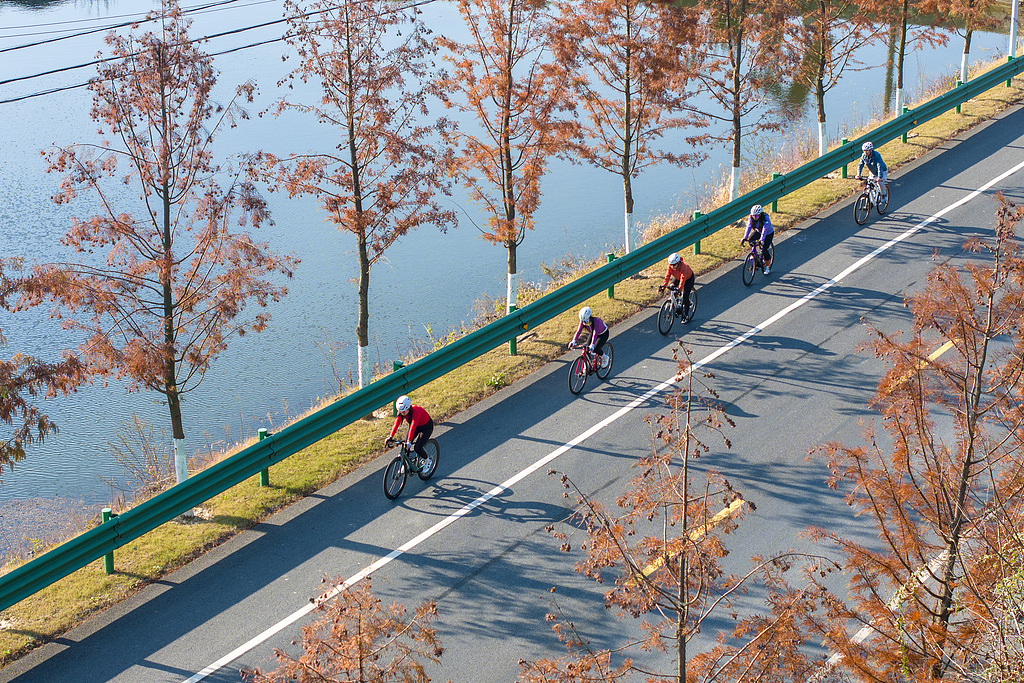 安徽芜湖：绿色低碳骑行 乐享健康生活