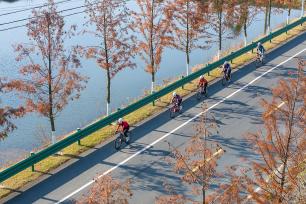 安徽芜湖：绿色低碳骑行 乐享健康生活