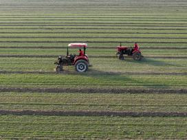 山东聊城：农机手开展小麦冬季镇压作业