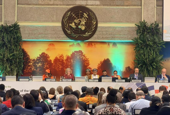 第七届联合国环境大会闭幕 通过多项决议