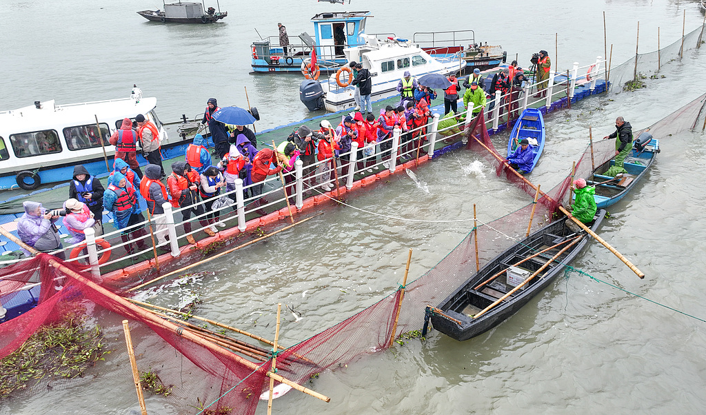 浙江德清：渔民冬捕鲜鱼供应市场
