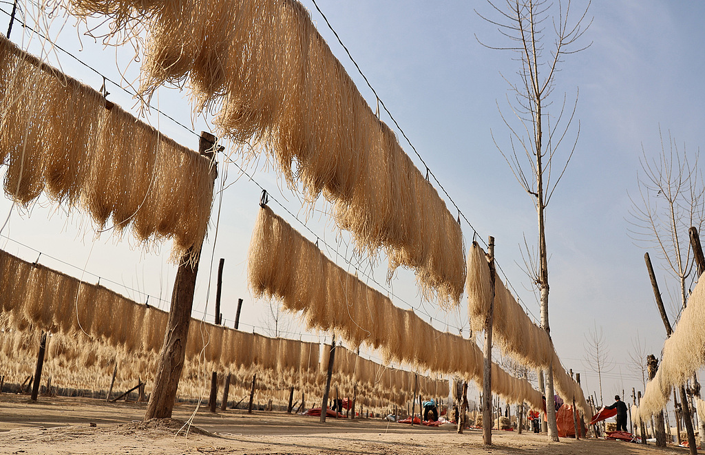 山西新绛：村民晾晒粉条迎新年