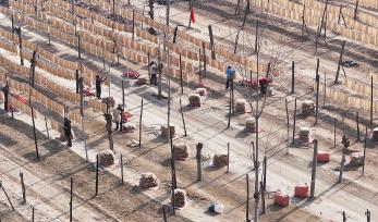 山西新绛：村民晾晒粉条迎新年