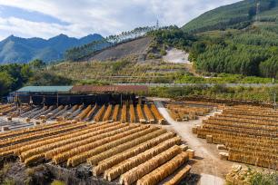 广西蒙山：工人抓晴好天气晾晒板材