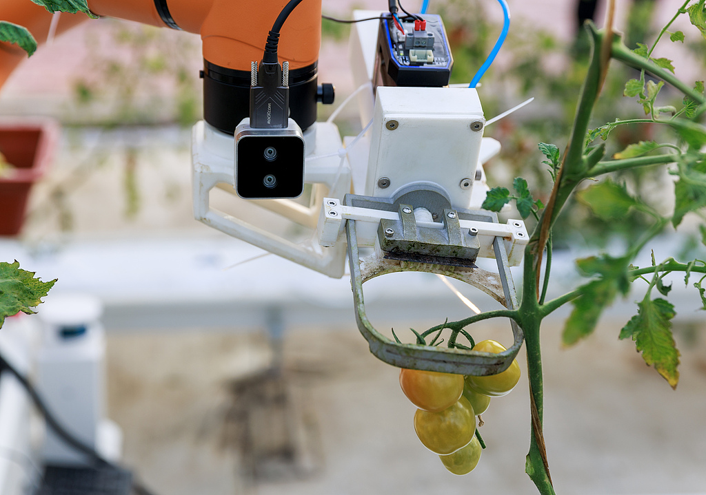 河南漯河：采摘机器人进行实地采摘试验