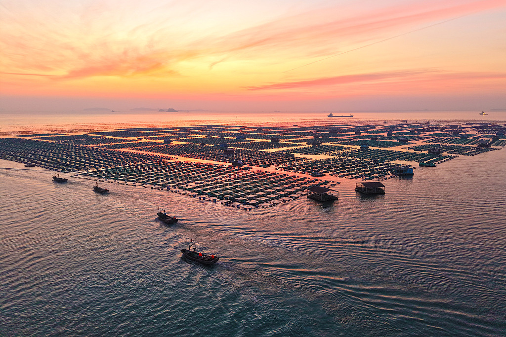 山东烟台：渔民驾驶渔船海上“冬耕”