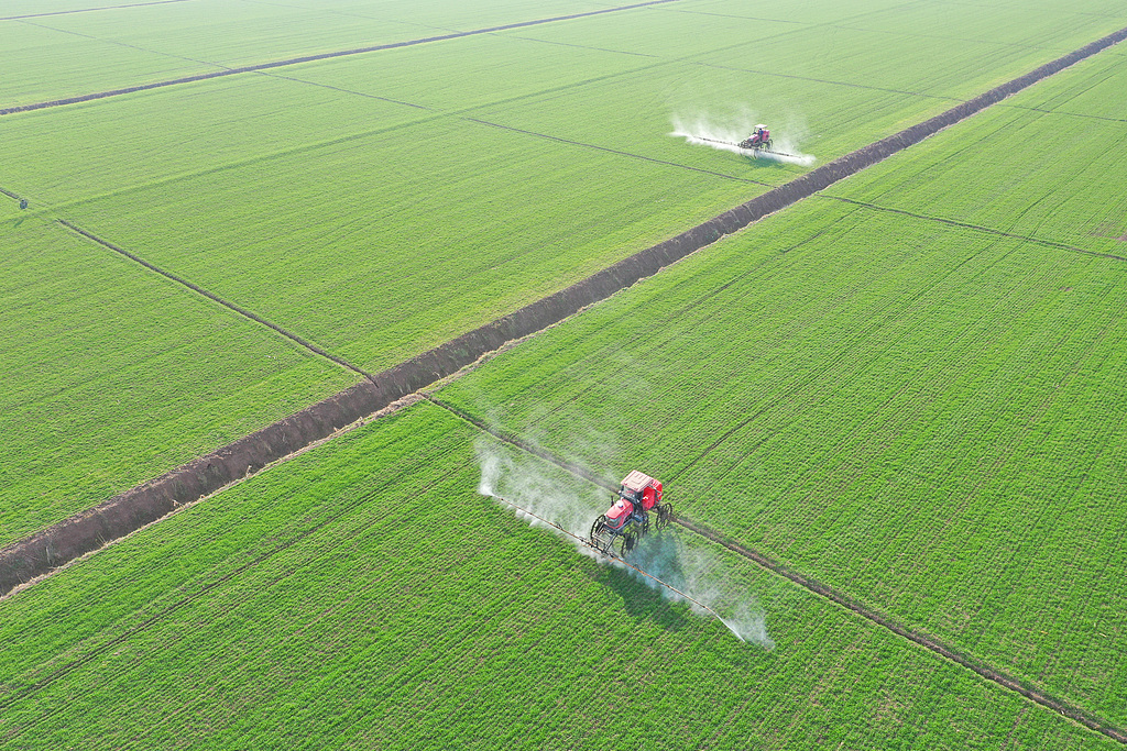 安徽安庆：农机手进行小麦冬季田管作业