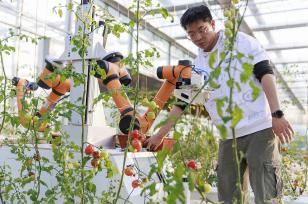 河南漯河：采摘机器人进行实地采摘试验
